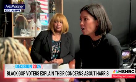 Black GOP Voters Question Kamala Harris’ Authenticity On MSNBC: ‘We All Know She’s Not Black!’