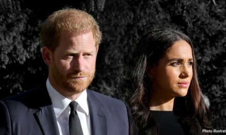 Meghan Markle slammed for bad judgment, Prince Harry called a ‘lamb to the slaughter’ in scathing critique