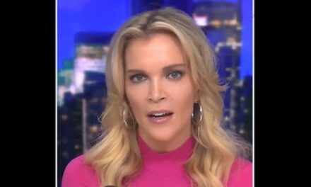 And BOOM: Megyn Kelly Puts Michelle Obama IN HER PLACE for Saying Americans are Asking TOO MUCH of Kamala