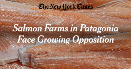 Smells Fishy: NYT Accused of Printing Article Paid for and Sourced By Green Groups