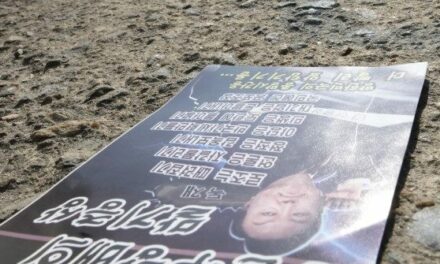 North Korea Drops Propaganda Leaflets on Seoul, Reversing Longtime South Korean Practice