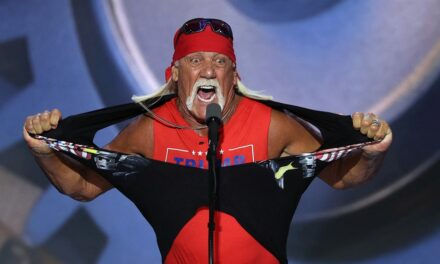 WWE legend Hulk Hogan says Trump assassination attempt forced him to speak up: ‘This has to stop’