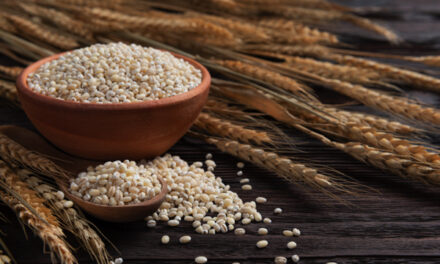 Barley: Ancient grain with science-backed benefits for a healthy pregnancy