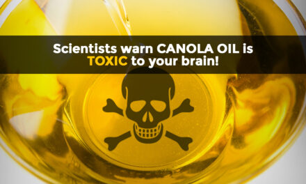 MOST HEALTH-DAMAGING OIL? Canola oil in most processed foods linked to rapid weight gain, early onset dementia, cancer