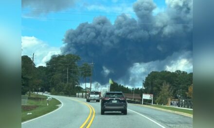 BioLab to face lawsuit by Rockdale County after fire at plant resulted in release of chemical ‘plume’