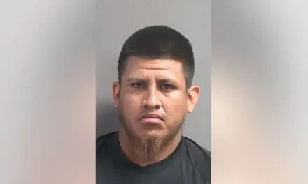 Florida: Woman Utilizes Safety Tactic Of Calling 911 And ‘Pretending To Order Pizza’ After Rape Attempt By Illegal Immigrant