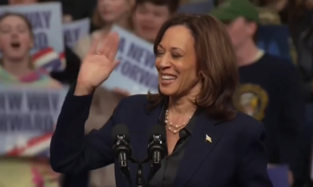 Yes, Kamala Harris Really Is That Stupid