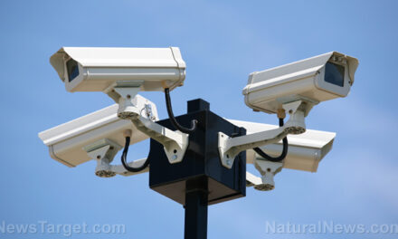 30% of surveillance cameras watching over the southern border are non-operational