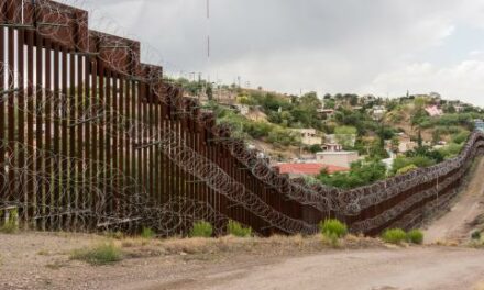 Nearly 565,000 illegal border crossers in Arizona in fiscal 2024