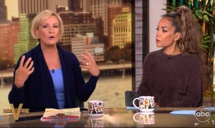 ‘Nobody Gets a Pass!’ Mika Goes on Wild Anti-Trump Rant on ‘The View’