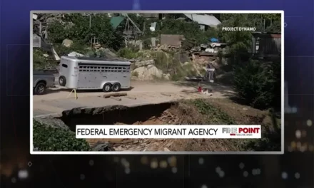 Federal Emergency Migrant Agency