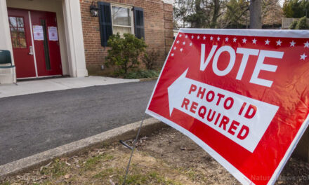 TREASON: Newsom signs new bill STOPPING local governments from requiring ID to vote in California