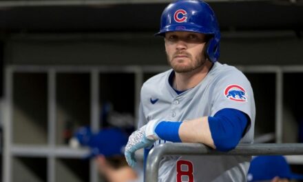 ‘Absolute class act’: Chicago Cubs player had an awesome surprise for fans who attended the last game of the season