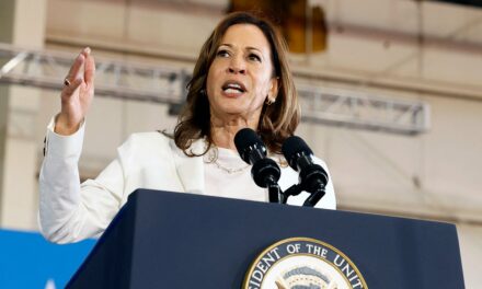 ‘Winning Issue’?: Michigan Dems Hope Abortion Will Help Harris Thwart Trump in Swing State