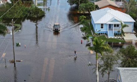 Alarming number of illegal aliens suspected of looting after Florida hurricanes