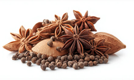 The timeless power of ANISE, an ancient herbal remedy