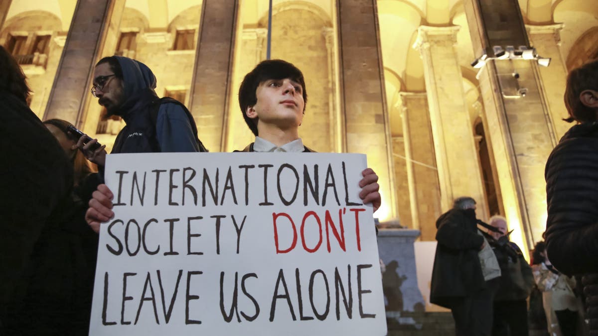 Protester in Georgia