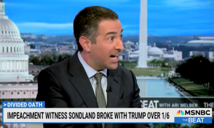 MSNBC host shocked as impeachment witness says Trump regained his support: ‘So striking!’