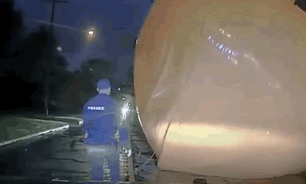 You know you want to watch these Ohio cops wrangle a gigantic pumpkin