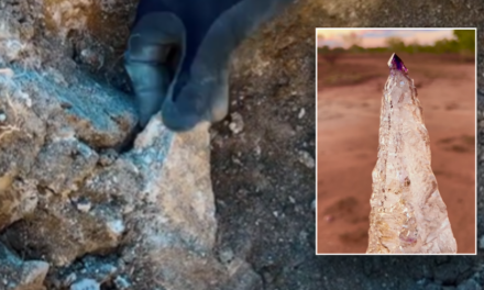 Man stumbles across gem worth thousands hidden in dirt: ‘It’s like nothing else’