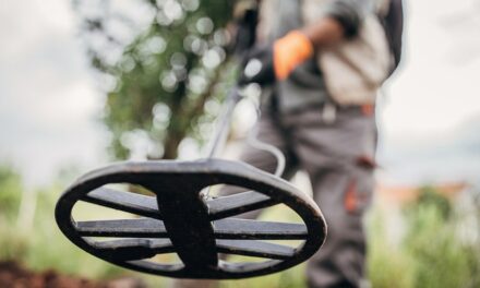 Group of metal detectorists uncover hoard of coins in England