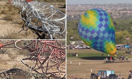 Hot air balloon strike, collapse of New Mexico radio tower caught on camera during popular festival