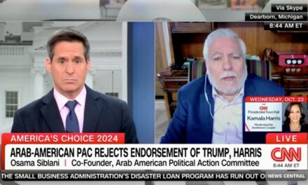 Arab-American PAC on its refusal to endorse Kamala Harris: ‘We don’t have a seat around the table’