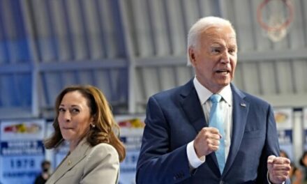 Biden, Harris Bound for Hurricane Helene Disaster Zone