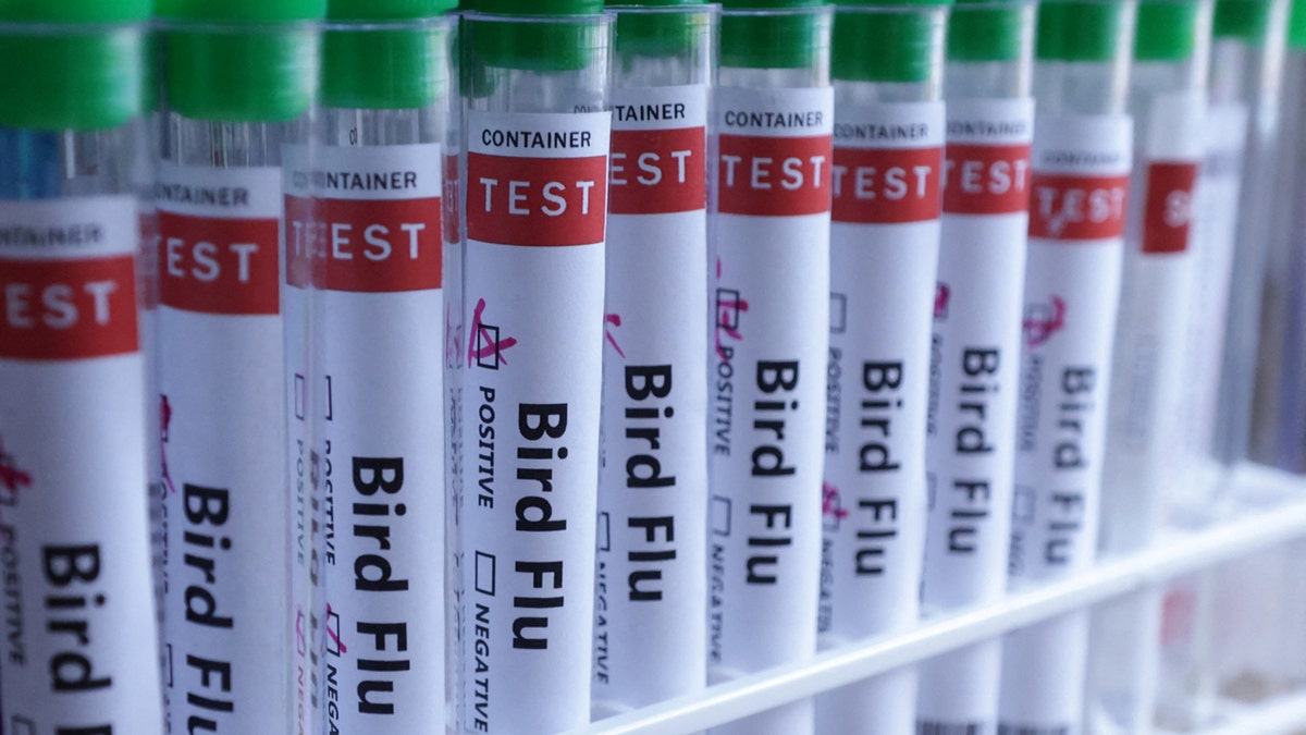 Test tubes are seen labelled 