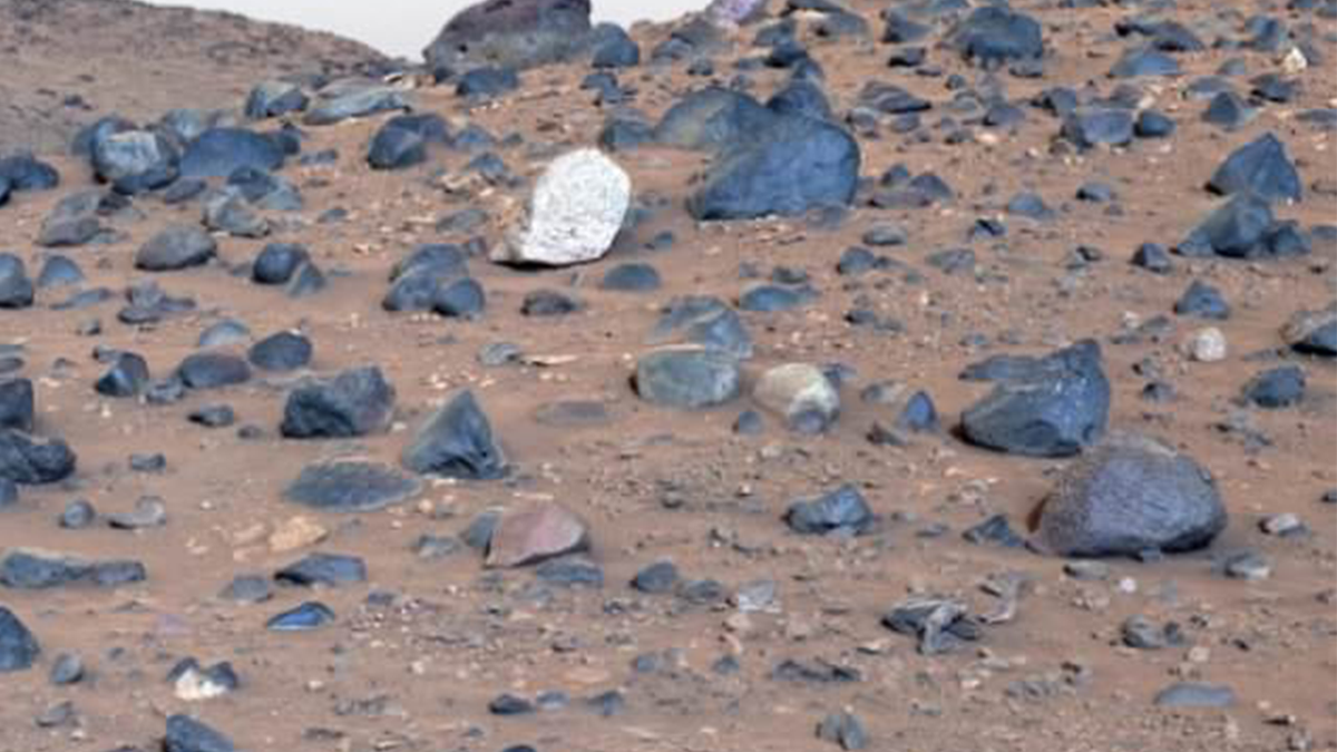 Field of blue rocks on Mars