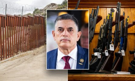 ‘No guns for illegal aliens’ bill rolled out by House GOP lawmaker