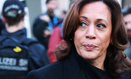 Harris admits to Telemundo: I’m for amnesty for illegal immigrants