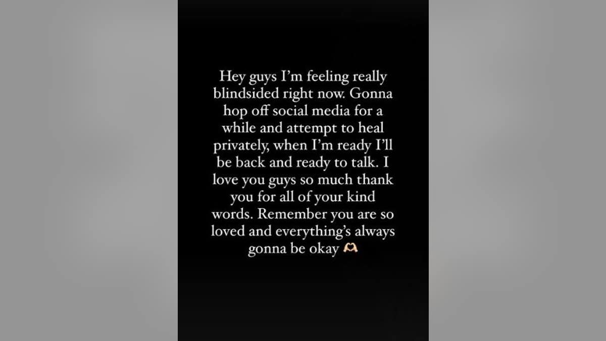 Brianna's Instagram story