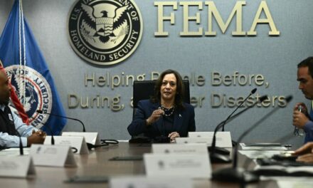 Bureaucrats discuss ditching ‘greatest good’ for equity in FEMA disaster-planning meeting