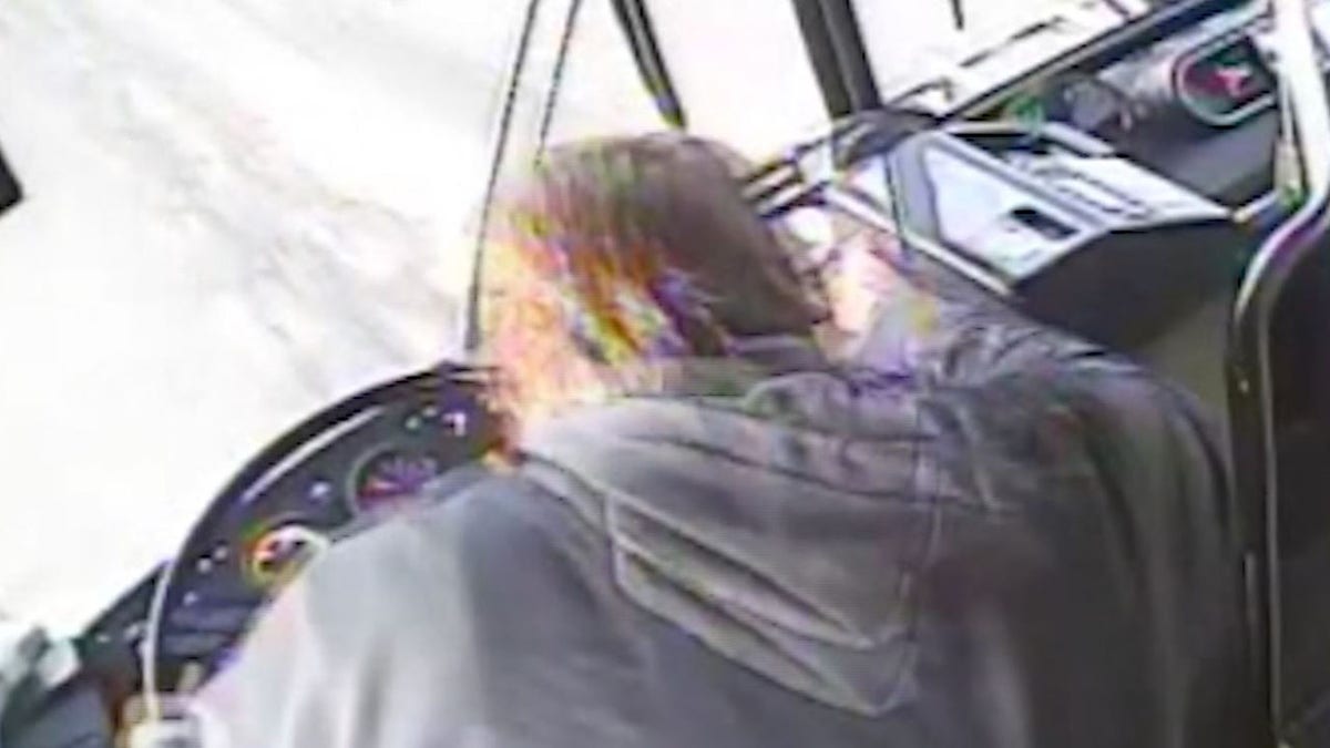 A passenger seen taking over a Colorado transit bus