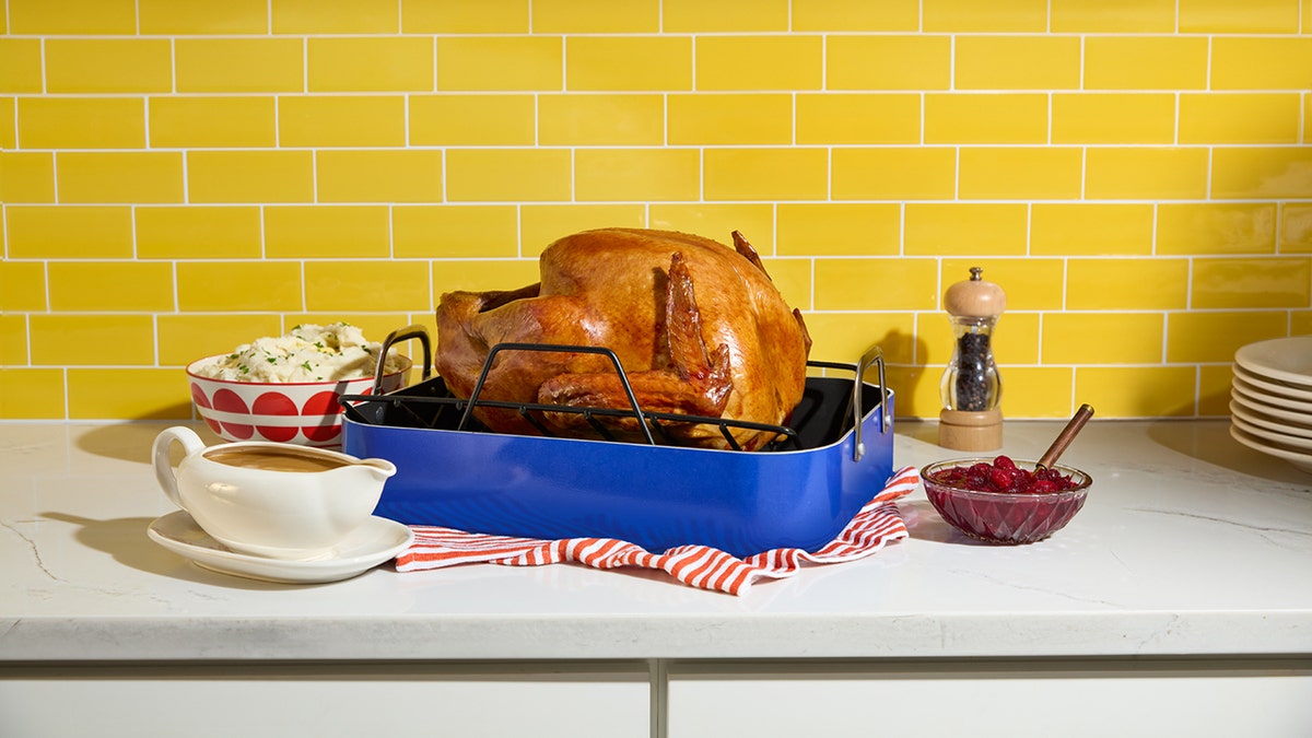 Cooked turkey sitting on countertop.