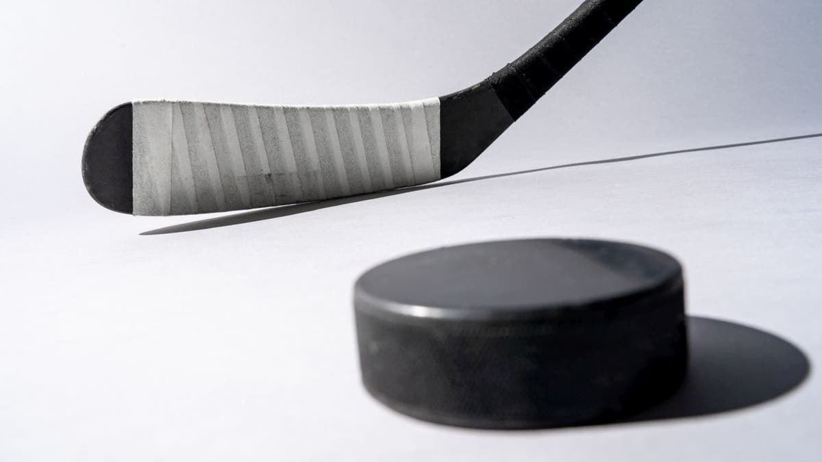 Hockey stick and puck