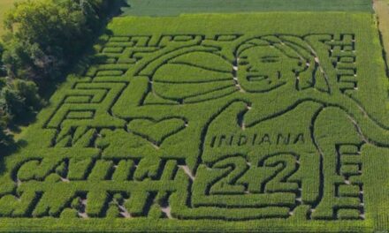 Caitlin Clark corn maze carved into Indiana orchard as they pay homage to WNBA superstar