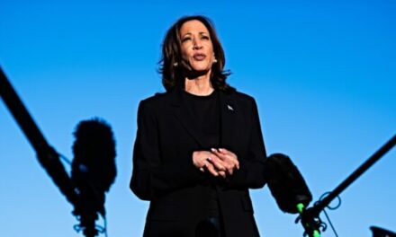 Report: Democrats Fear Kamala Harris Is Wasting Time on Campaign Trail