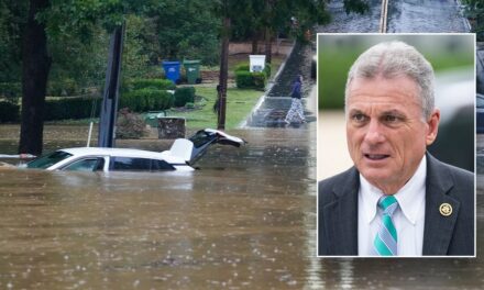 ‘Deadliest’ storms ‘since Katrina’: Georgia Republican demands emergency session of Congress