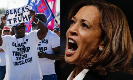 CNN pollster stunned by black voters’ lack of support for Kamala Harris, especially men