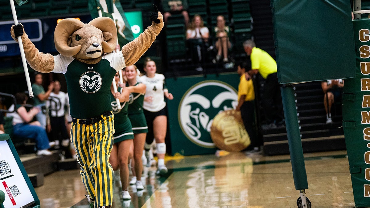 Colorado State women's volleyball