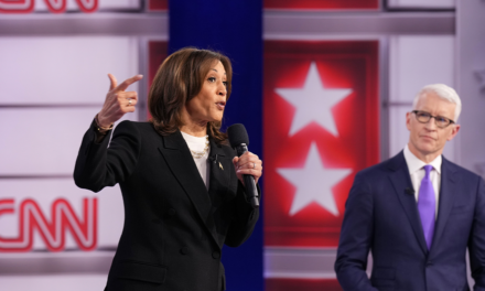 Harris stumbles on the border when pressed on illegal immigration: ‘Is a border wall stupid?’