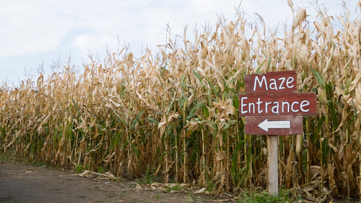 Corn maze entrance sign