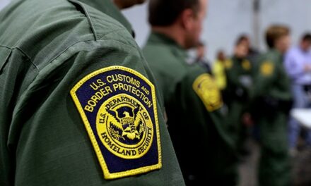 Video of 14 CBP Agents Moving a Log 15 Feet Is Exactly Why We Need Trump’s Gov’t Efficiency Commission