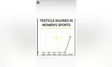 Danica Patrick Uses A ‘Testicle Chart’ To Better Explain Her Stance On Men Competing In Women’s Sports