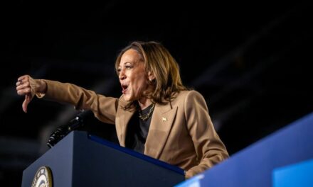 Democrats are melting down because men don’t like Kamala Harris. Their solution: Accuse them of misogyny.