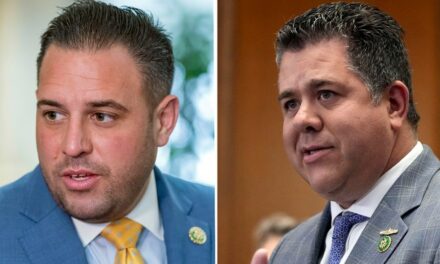 2 swing districts in New York split as GOP incumbents fight to hold seats