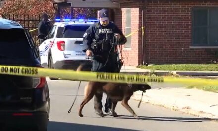 Bullets fly at Detroit apartment complex as two shot, one fatally, in drive-by shooting