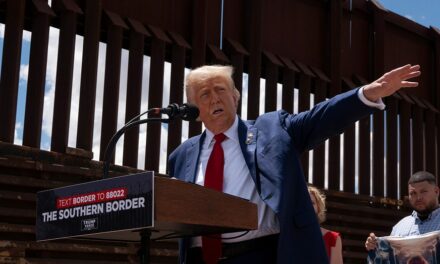 Trump sounds alarm on illegal immigrant murderers: ‘A lot of bad genes in our country’